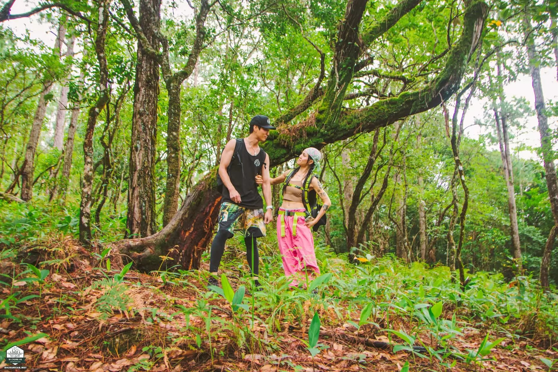 Laan 02 - Lomburr - con đường cổ đại